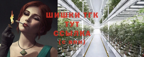 трава Новозыбков