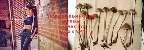 2c-b Новодвинск