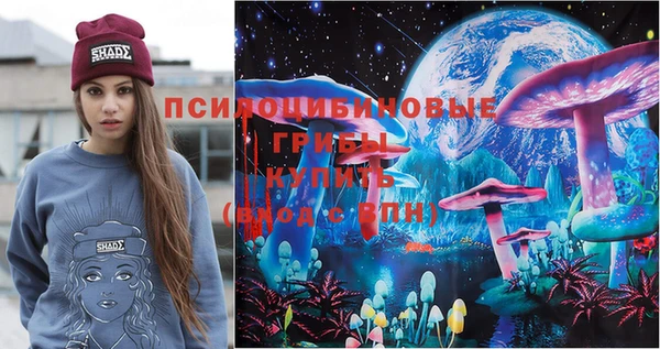 трава Новозыбков