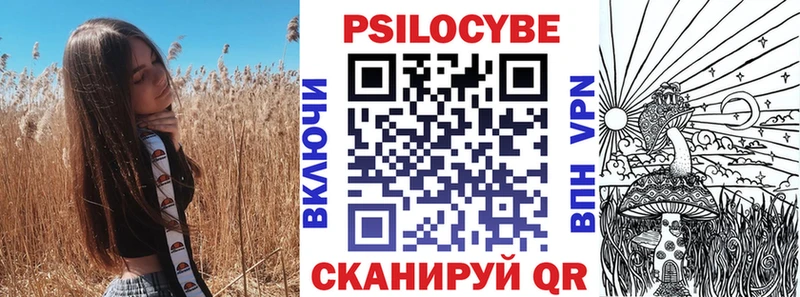 Псилоцибиновые грибы мухоморы  Купить закладки  Новочеркасск 