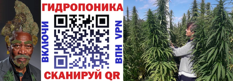 Купить закладки  Новочеркасск  МАРИХУАНА OG Kush 